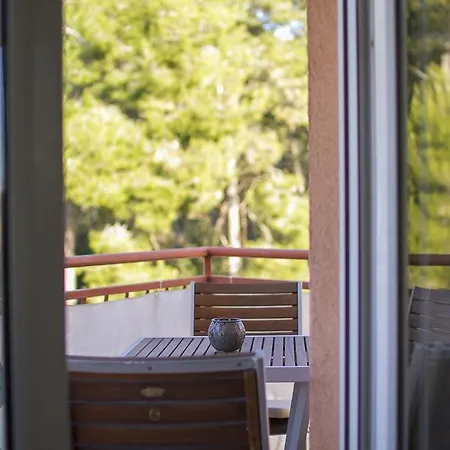 Apartamento City Break *